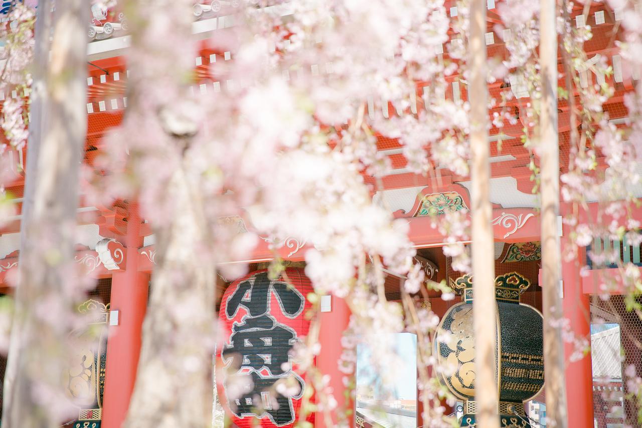 Nippori Hotel Apartment *